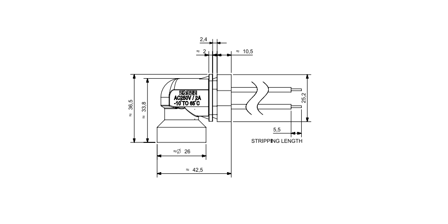 Plunger Switch